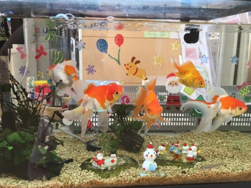 外来受付脇には、病院で飼っている金魚たちがいます。季節折々の飾り付けもしています。外来や入院患者様の話し相手に時々なりながら、食欲旺盛の金魚たち、ただ今成長中です！